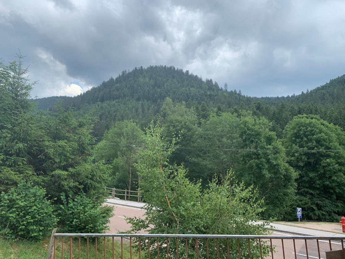 Gite De L'Ours La Bresse Dış mekan fotoğraf