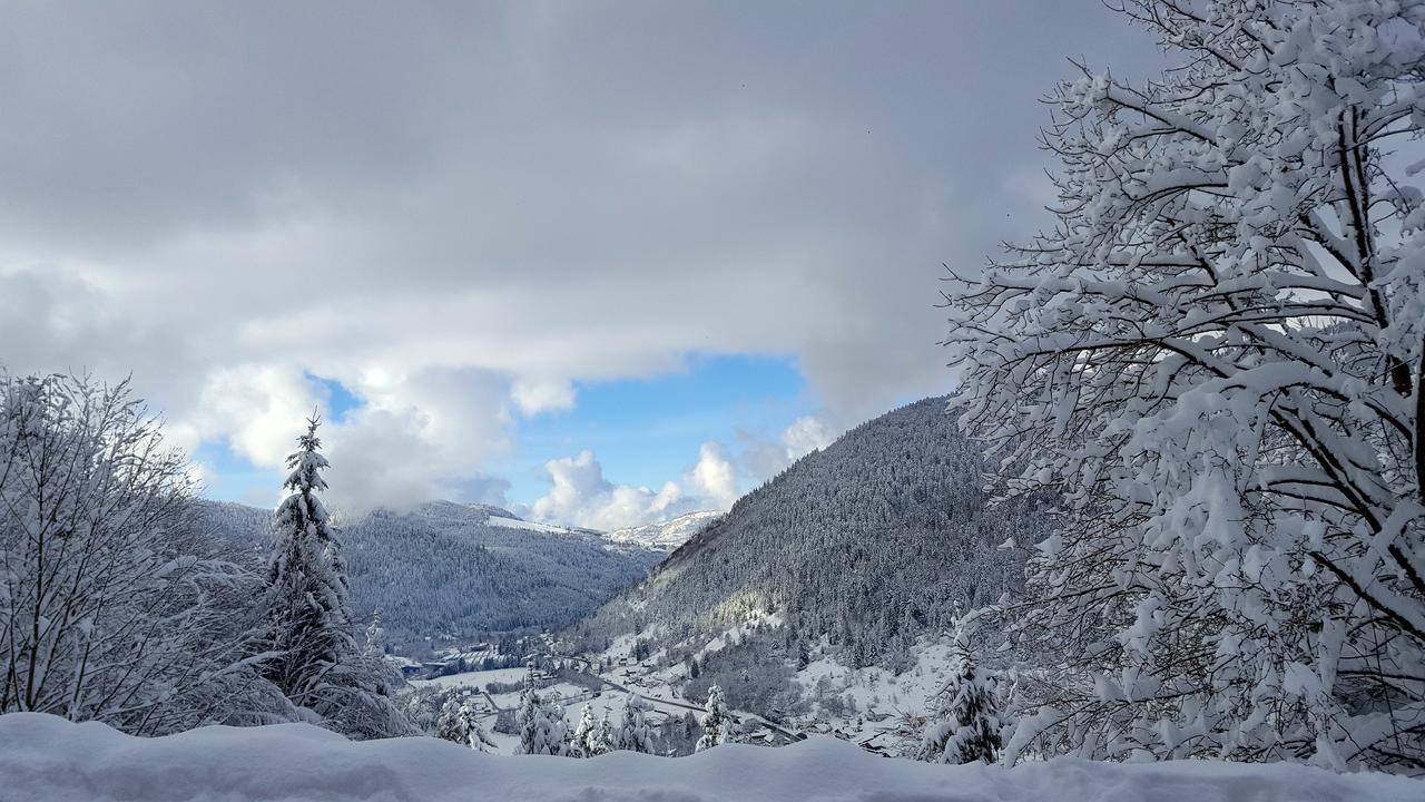Gite De L'Ours La Bresse Dış mekan fotoğraf